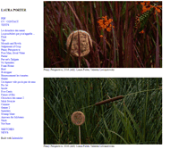 Tablet Screenshot of lauraporter.net